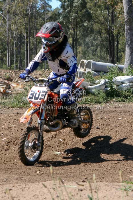 445x677 pixels (92K)